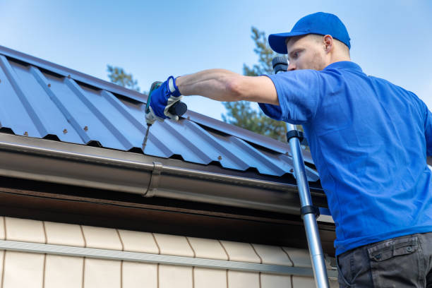 Best Sheet Metal Roofing  in Red Lake, AZ