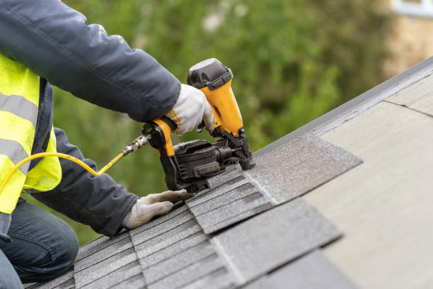 Best Roof Moss and Algae Removal  in Red Lake, AZ