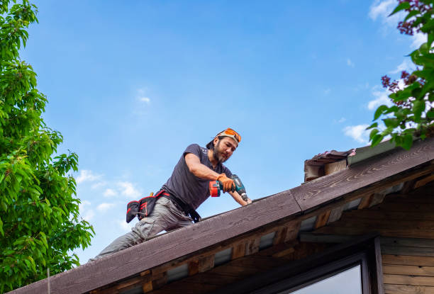 Best Roof Maintenance and Cleaning  in Red Lake, AZ