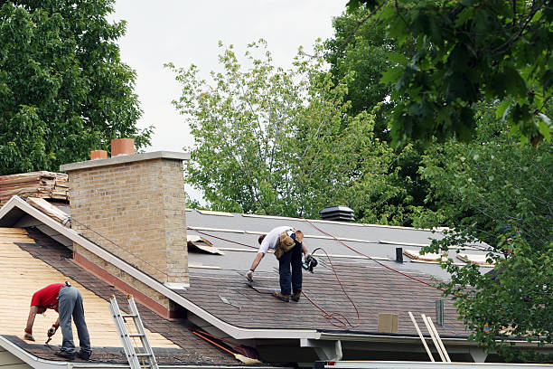 Best Roof Ventilation Installation  in Red Lake, AZ