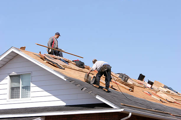 Best Roof Installation  in Red Lake, AZ